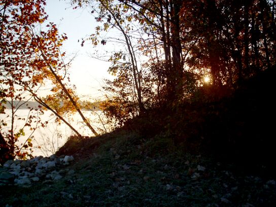 wallpaper preview: sunrise over lake monroe